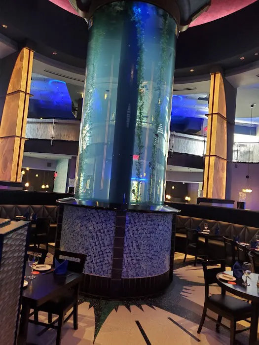 Aquarium Guy LLC Picture 1