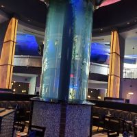 Aquarium Guy LLC ico