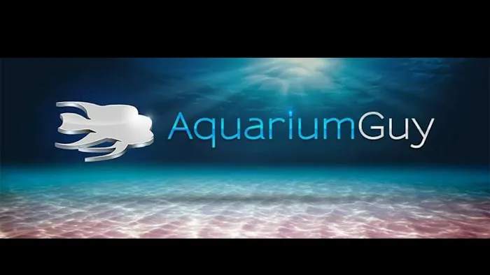 Aquarium Guy LLC Picture 10