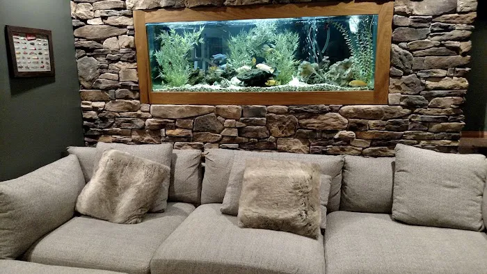 Aquarium Guy LLC Picture 3