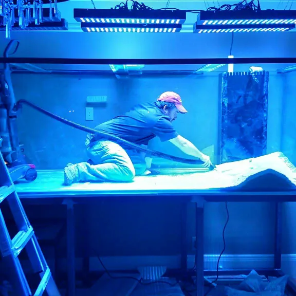 Aquarium Guy LLC Picture 6