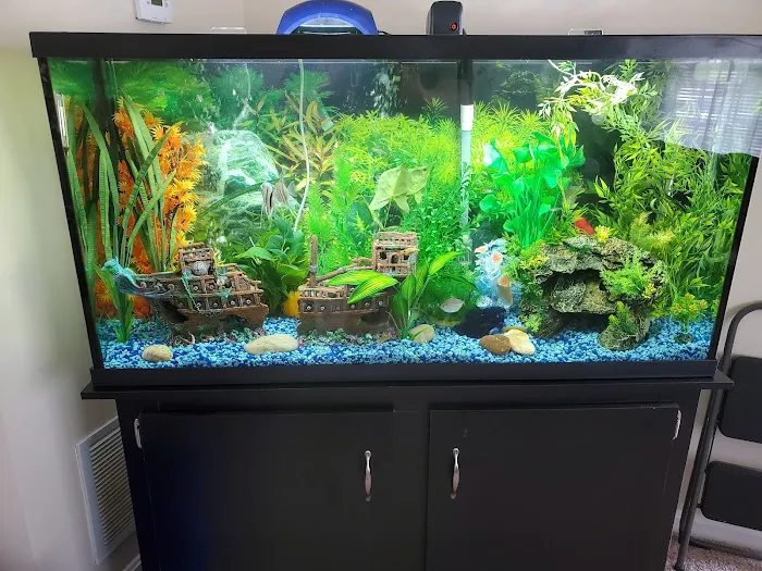 Aquarium Guy LLC Picture 9