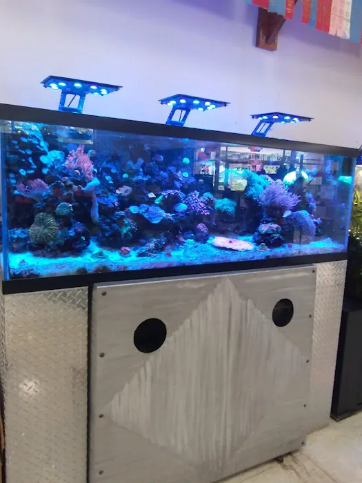 Aquarium Guy LLC Picture 5