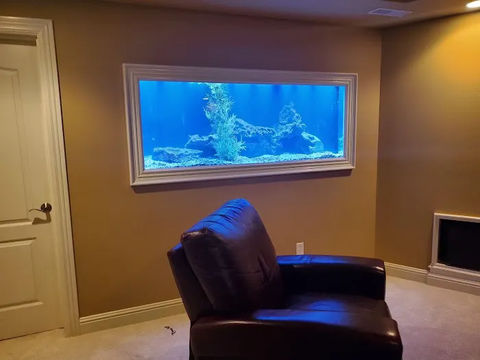 Aquarium Guy LLC Picture 4