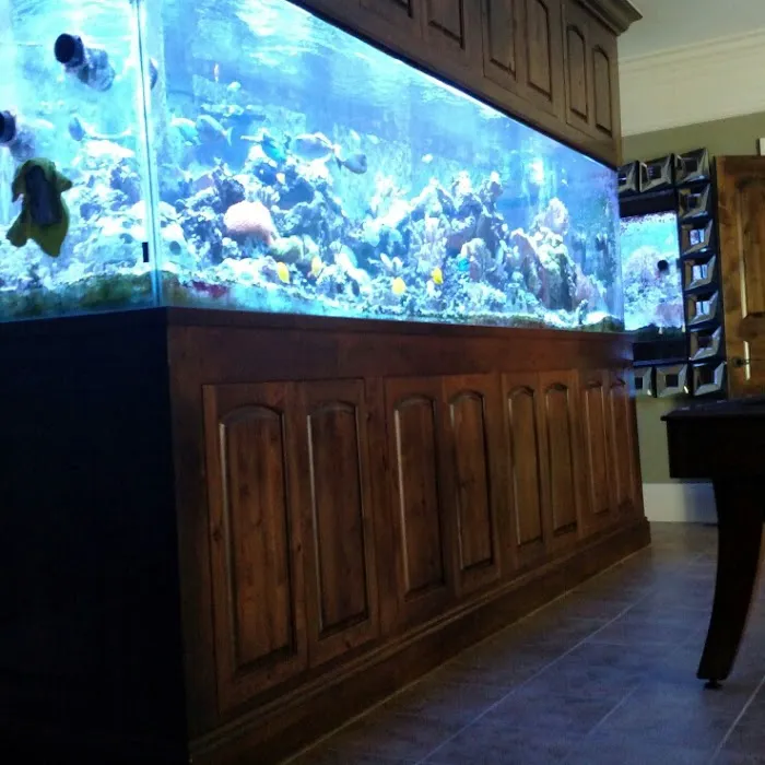 Aquarium Guy LLC Picture 8