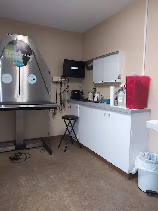 VCA South Hadley Animal Hospital Picture 2