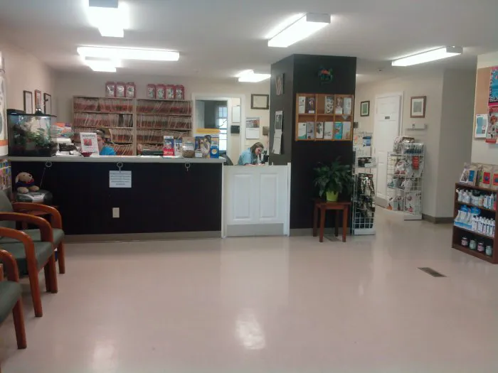VCA South Hadley Animal Hospital Picture 10