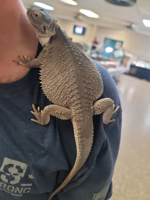 INDIANA REPTILE BREEDERS EXPO *once a month* Picture 4