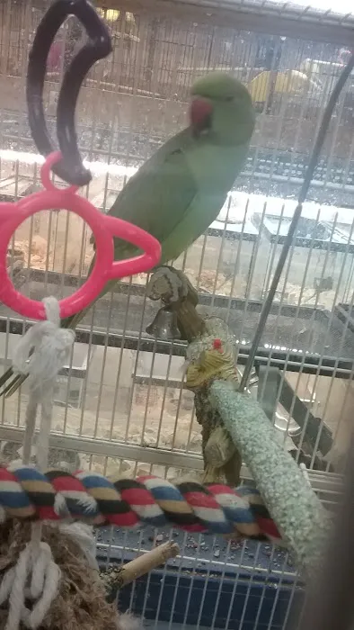 Greentree Pet Center Picture 9