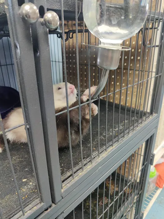 Greentree Pet Center Picture 8