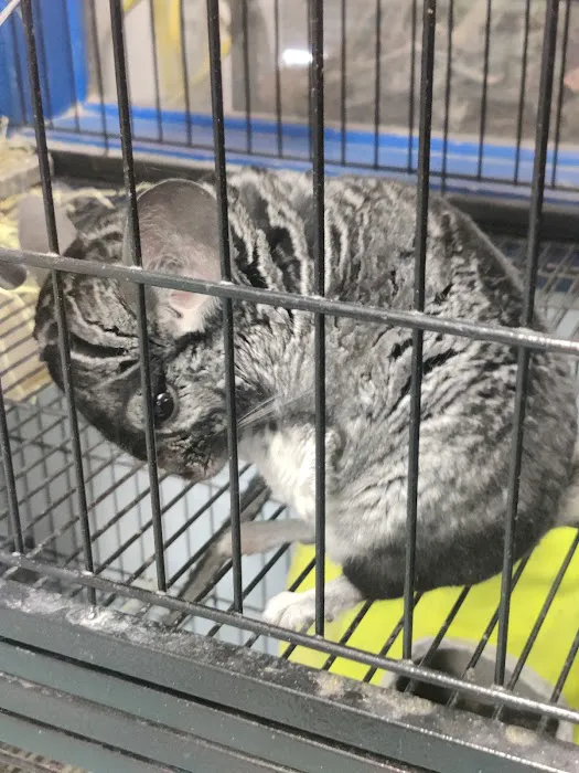 Greentree Pet Center Picture 10