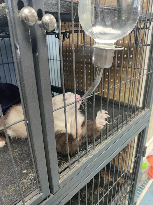Greentree Pet Center Picture 7