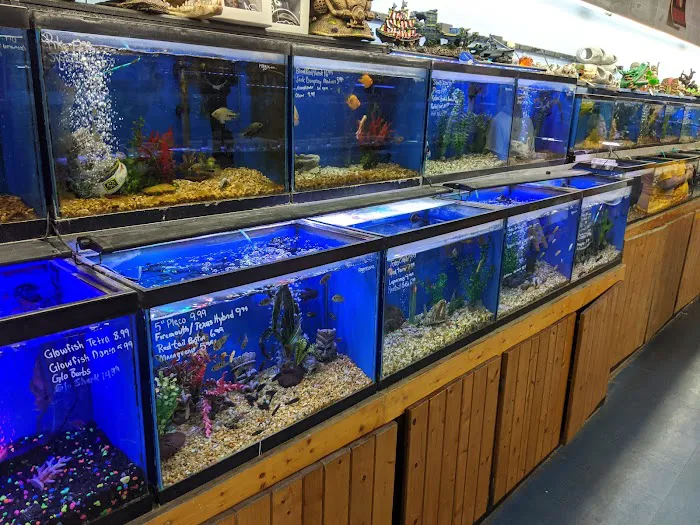 Greentree Pet Center Picture 4