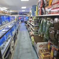 Greentree Pet Center ico