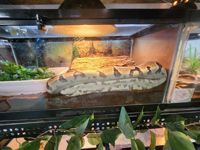 Greentree Pet Center Picture 2