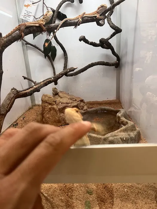 Pet's Palace Picture 7