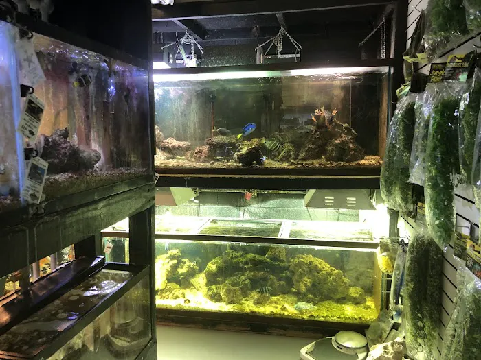 Pet's Palace Picture 5