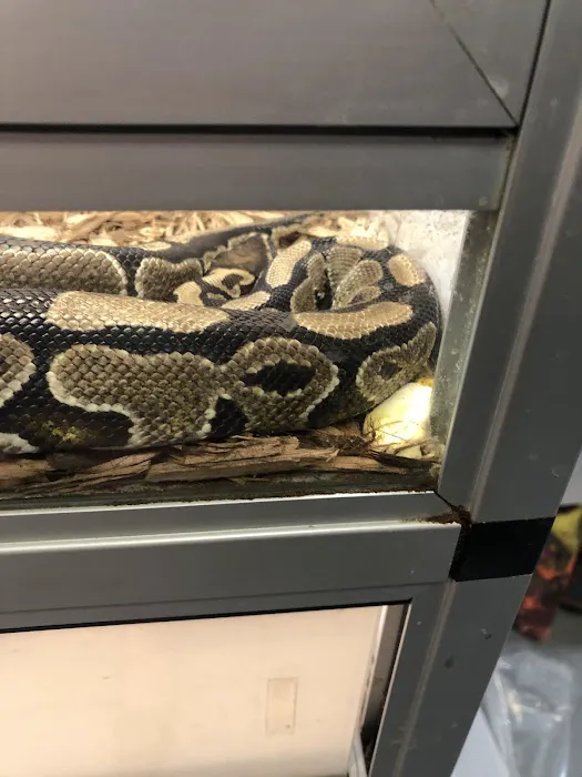 Pet's Palace Picture 4