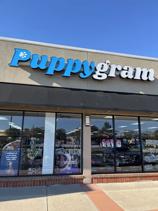 Puppygram Louisville Picture 3