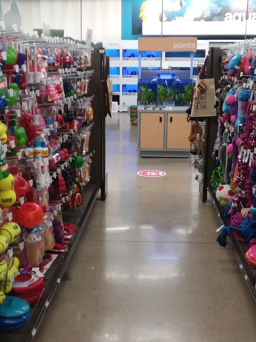 Petco Picture 7
