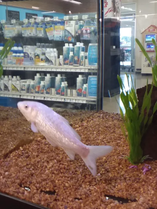 Petco Picture 5
