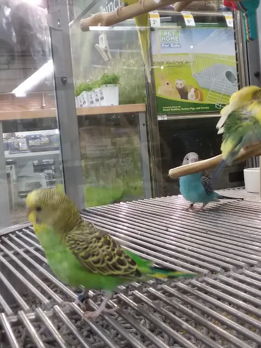 Petco Picture 4