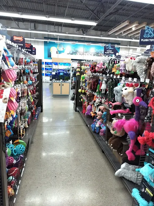 Petco Picture 6