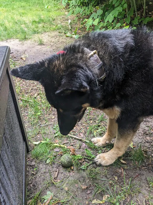 Countryside Animal Hospital Picture 8