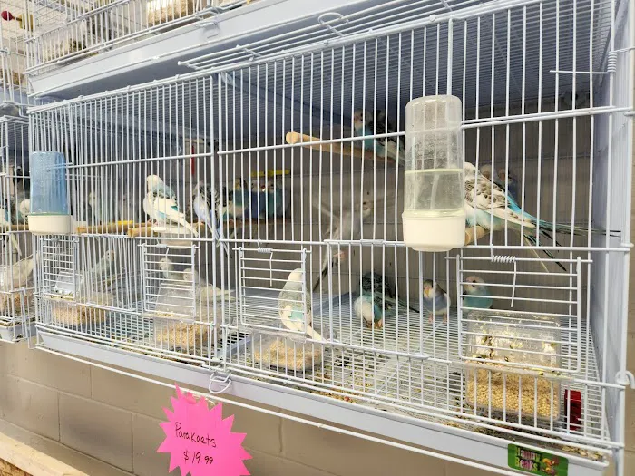 Soria Petshop Picture 5