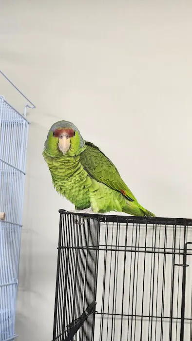 Soria Petshop Picture 3