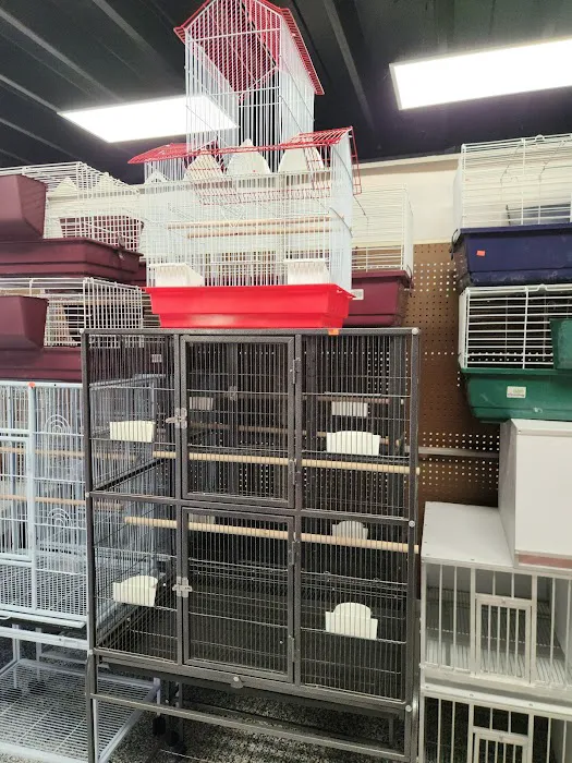 Soria Petshop Picture 6