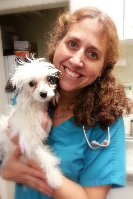 Northampton Veterinary Clinic Picture 3