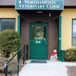Northampton Veterinary Clinic