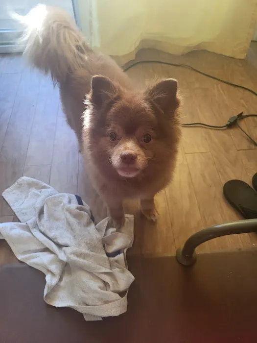 Florence Animal Clinic Picture 6
