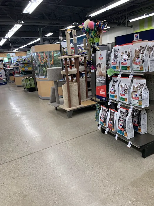 Petco Picture 2