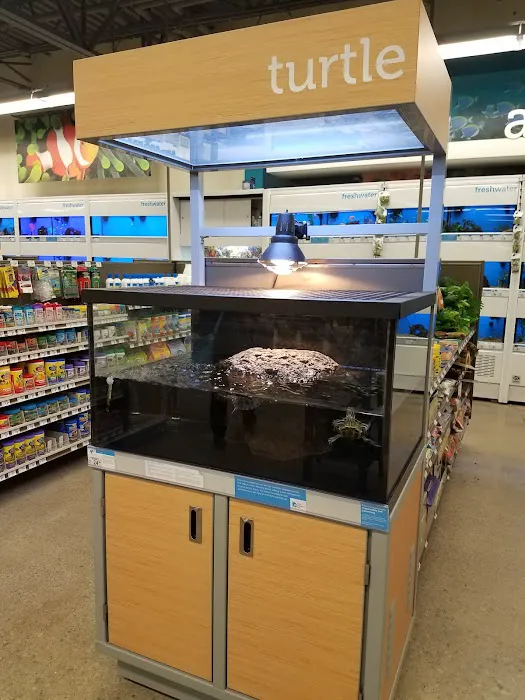 Petco Picture 7