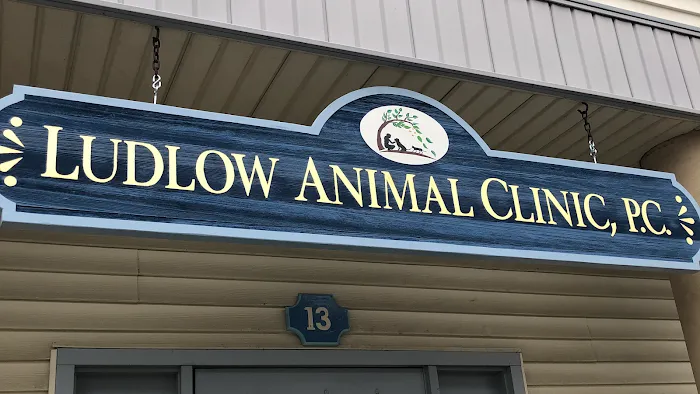 Ludlow Animal Clinic, P.C. Picture 10