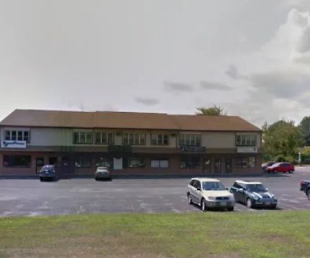 The Cat Hospital