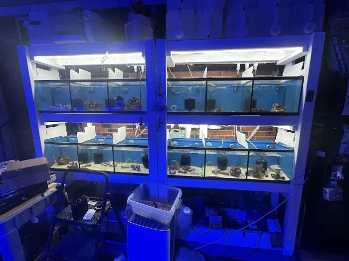 Derby City Aquatics Picture 1