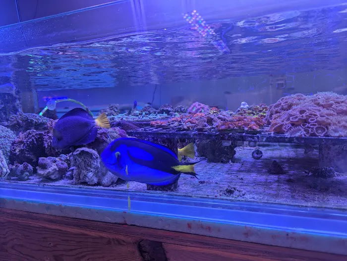Derby City Aquatics Picture 4