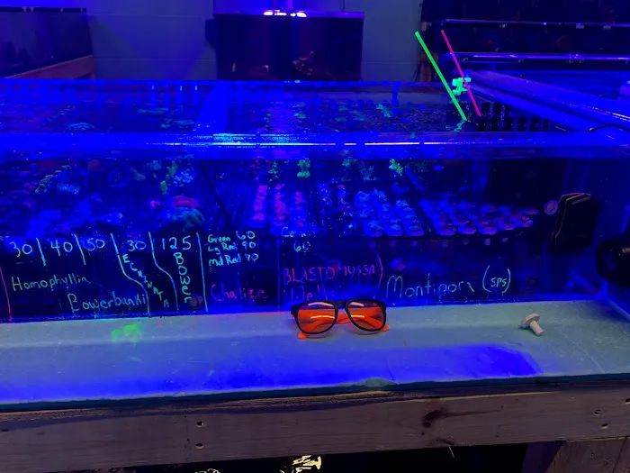 Derby City Aquatics Picture 10