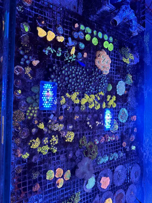 Derby City Aquatics Picture 9