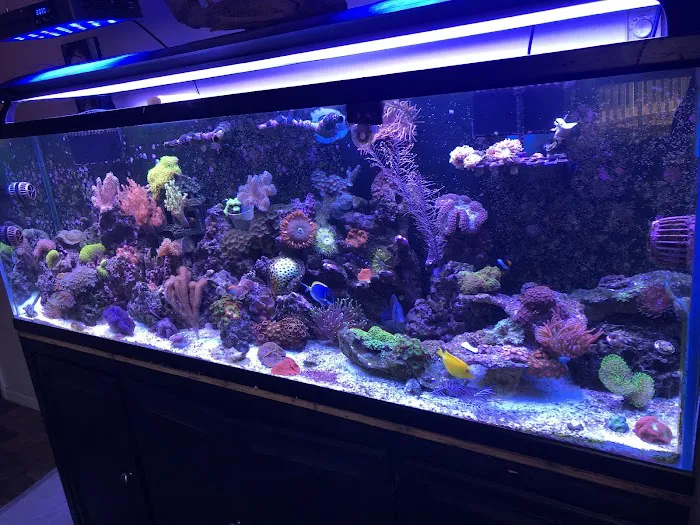 Derby City Aquatics Picture 8
