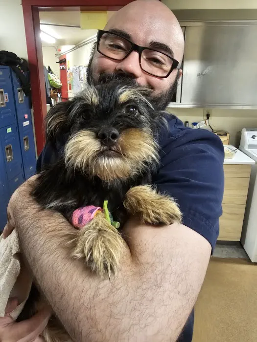 North King Animal Clinic Picture 1