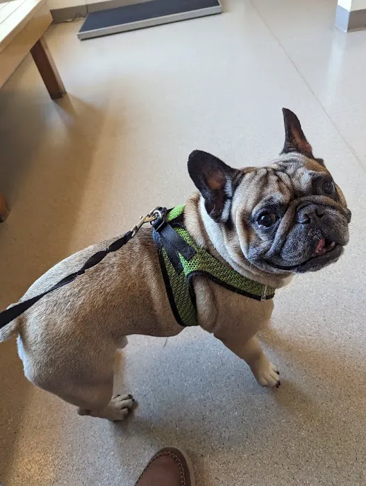 Riverbend Animal Hospital Picture 4