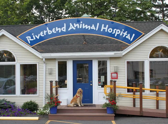 Riverbend Animal Hospital Picture 10
