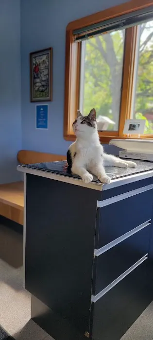 Riverbend Animal Hospital Picture 8