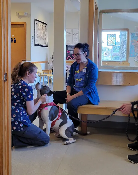 Riverbend Animal Hospital Picture 9