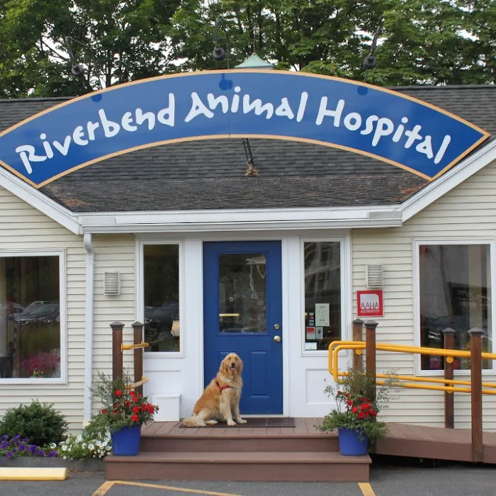 Riverbend Animal Hospital Picture 7