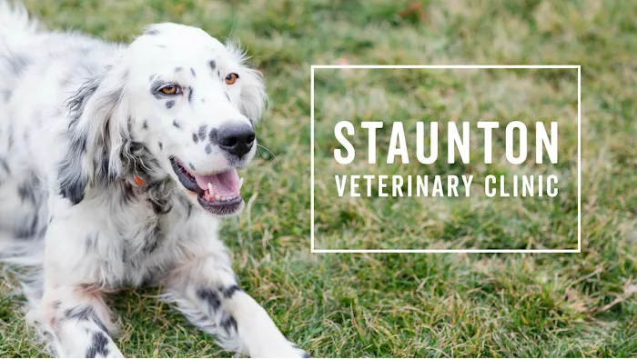 Staunton Veterinary Clinic Picture 6
